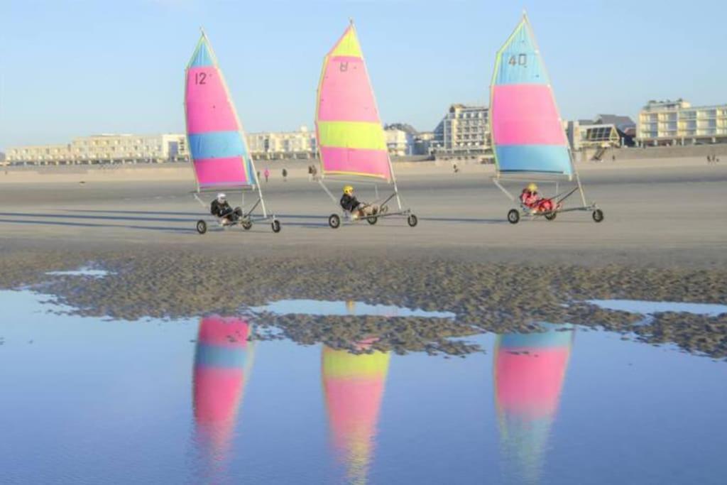 Cozy D'Opale Charmant T1 Bord De Mer Cour Privee Et Clot Wifi 3 Pers Animaux Acceptes Gratuit Daire Berck Dış mekan fotoğraf
