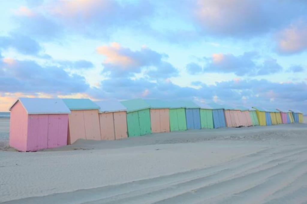 Cozy D'Opale Charmant T1 Bord De Mer Cour Privee Et Clot Wifi 3 Pers Animaux Acceptes Gratuit Daire Berck Dış mekan fotoğraf