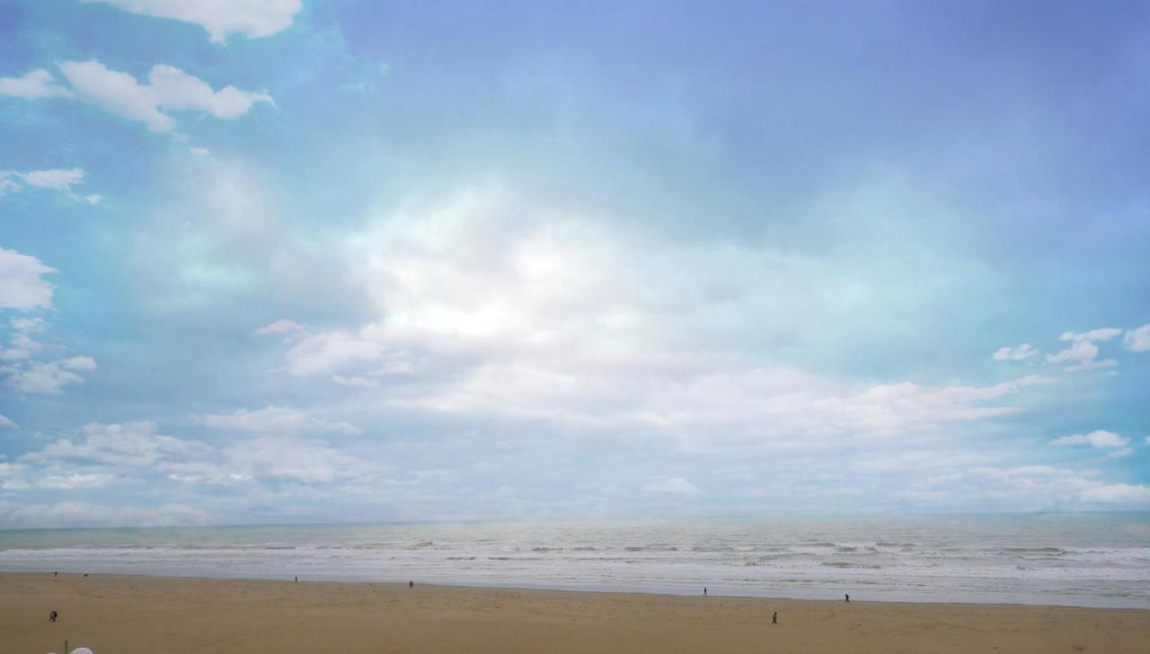 Cozy D'Opale Charmant T1 Bord De Mer Cour Privee Et Clot Wifi 3 Pers Animaux Acceptes Gratuit Daire Berck Dış mekan fotoğraf